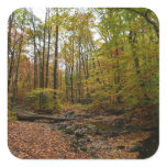 Fall Creek at Laurel Hill State Park Pennsylvania Square Sticker