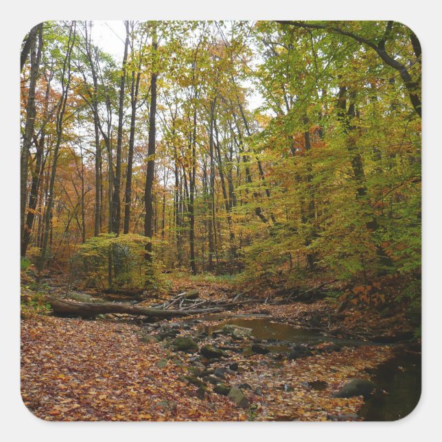Fall Creek at Laurel Hill State Park Pennsylvania Square Sticker (Front)