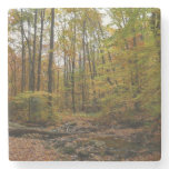 Fall Creek at Laurel Hill State Park Pennsylvania Stone Coaster