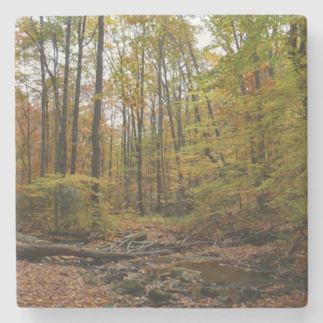 Fall Creek at Laurel Hill State Park Pennsylvania Stone Coaster (Front)