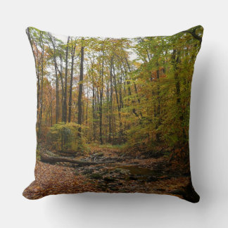 Fall Creek at Laurel Hill State Park Pennsylvania Throw Pillow