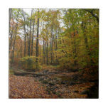 Fall Creek at Laurel Hill State Park Pennsylvania Tile