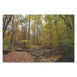 Fall Creek at Laurel Hill State Park Pennsylvania Tissue Paper