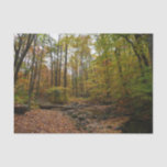Fall Creek at Laurel Hill State Park Pennsylvania Tissue Paper