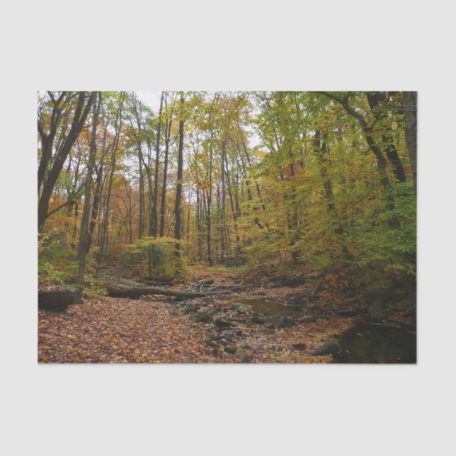Fall Creek at Laurel Hill State Park Pennsylvania Tissue Paper (Front)