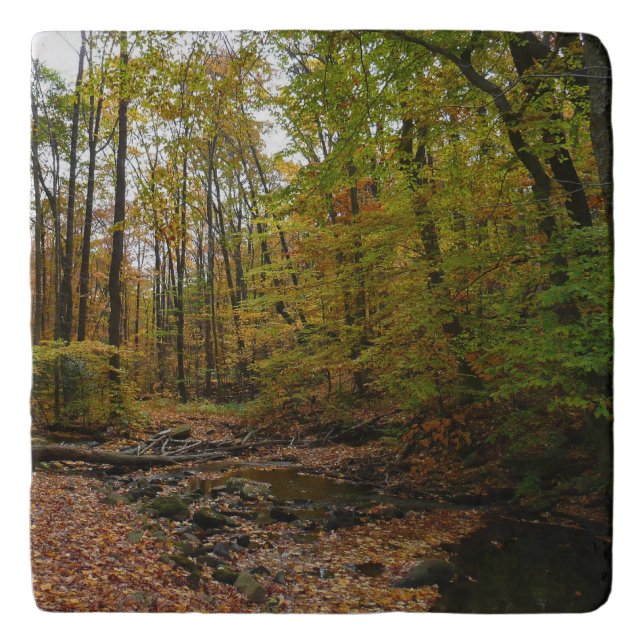 Fall Creek at Laurel Hill State Park Pennsylvania Trivet (Front)