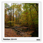 Fall Creek at Laurel Hill State Park Pennsylvania Wall Sticker