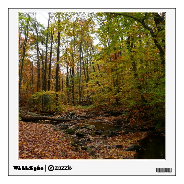 Fall Creek at Laurel Hill State Park Pennsylvania Wall Sticker (Front)