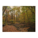 Fall Creek at Laurel Hill State Park Pennsylvania Wood Wall Decor