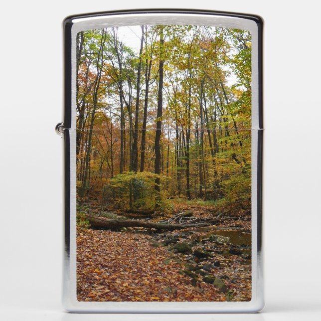 Fall Creek at Laurel Hill State Park Pennsylvania Zippo Lighter (Front)