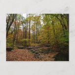 Fall Creek at Laurel Hill State Park Postcard