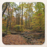 Fall Creek at Laurel Hill State Park Square Paper Coaster