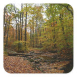 Fall Creek at Laurel Hill State Park Square Sticker