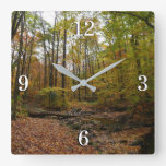 Fall Creek at Laurel Hill State Park Square Wall Clock