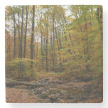 Fall Creek at Laurel Hill State Park Stone Coaster