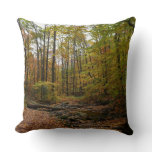 Fall Creek at Laurel Hill State Park Throw Pillow