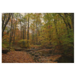 Fall Creek at Laurel Hill State Park Wood Poster