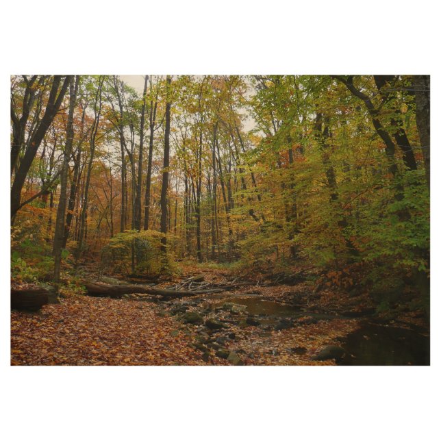 Fall Creek at Laurel Hill State Park Wood Poster (Front)