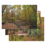 Fall Creek at Laurel Hill State Park Wrapping Paper Sheets
