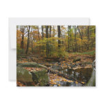 Fall Creek with Reflection at Laurel Hill Park