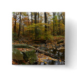Fall Creek with Reflection at Laurel Hill Park Button