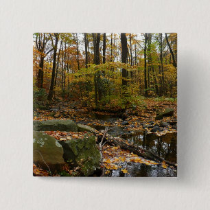 Fall Creek with Reflection at Laurel Hill Park Button