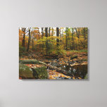 Fall Creek with Reflection at Laurel Hill Park Canvas Print