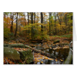 Fall Creek with Reflection at Laurel Hill Park Card