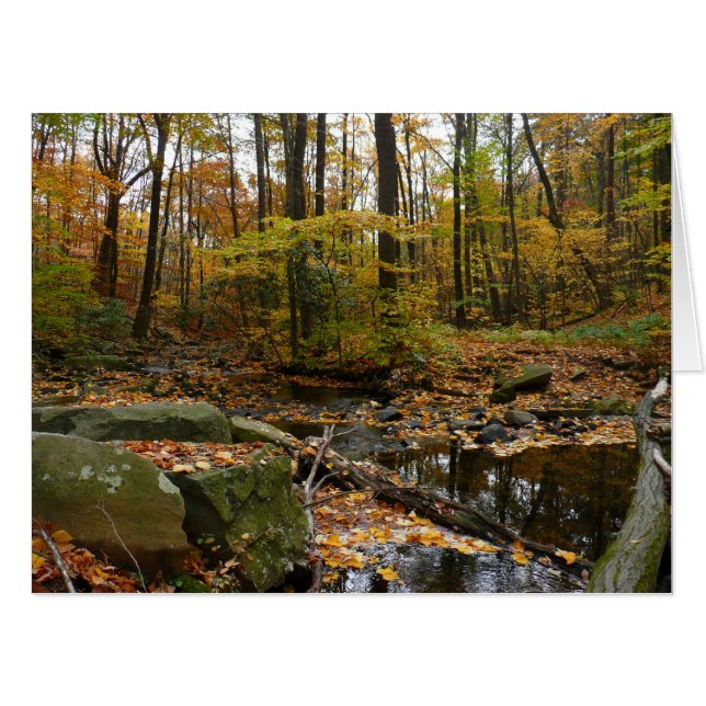 Fall Creek with Reflection at Laurel Hill Park Card (Front Horizontal)