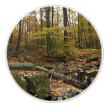 Fall Creek with Reflection at Laurel Hill Park Ceramic Knob