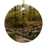 Fall Creek with Reflection at Laurel Hill Park Ceramic Ornament