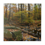 Fall Creek with Reflection at Laurel Hill Park Ceramic Tile