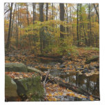 Fall Creek with Reflection at Laurel Hill Park Cloth Napkin