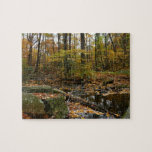 Fall Creek with Reflection at Laurel Hill Park Jigsaw Puzzle