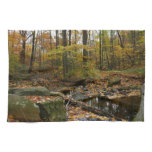 Fall Creek with Reflection at Laurel Hill Park Kitchen Towel