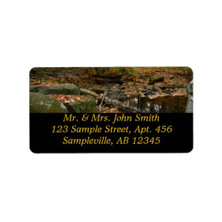 Fall Creek with Reflection at Laurel Hill Park Label