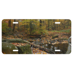 Fall Creek with Reflection at Laurel Hill Park License Plate