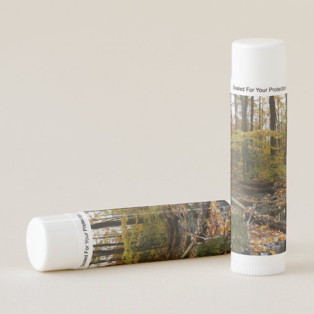 Fall Creek with Reflection at Laurel Hill Park Lip Balm (Front)