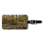Fall Creek with Reflection at Laurel Hill Park Luggage Tag