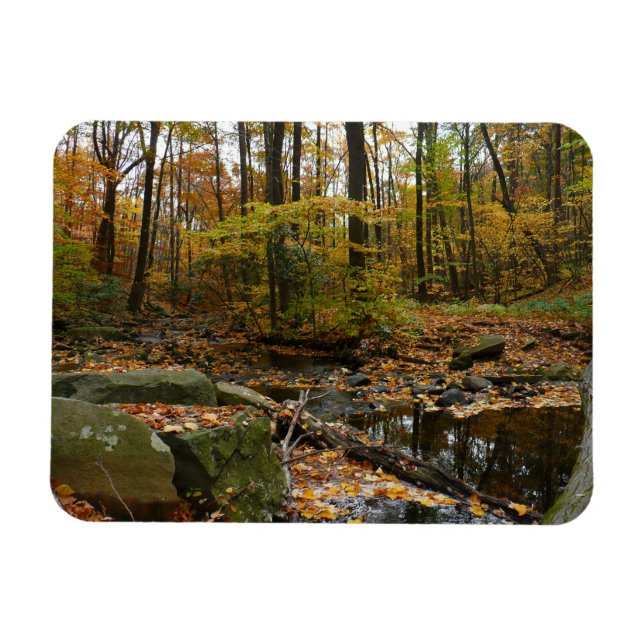Fall Creek with Reflection at Laurel Hill Park Magnet (Horizontal)