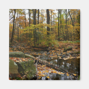 Fall Creek with Reflection at Laurel Hill Park Magnet
