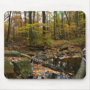 Fall Creek with Reflection at Laurel Hill Park Mouse Pad