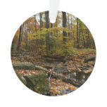 Fall Creek with Reflection at Laurel Hill Park Ornament
