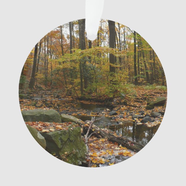 Fall Creek with Reflection at Laurel Hill Park Ornament (Front)