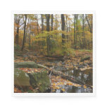 Fall Creek with Reflection at Laurel Hill Park Paper Napkins