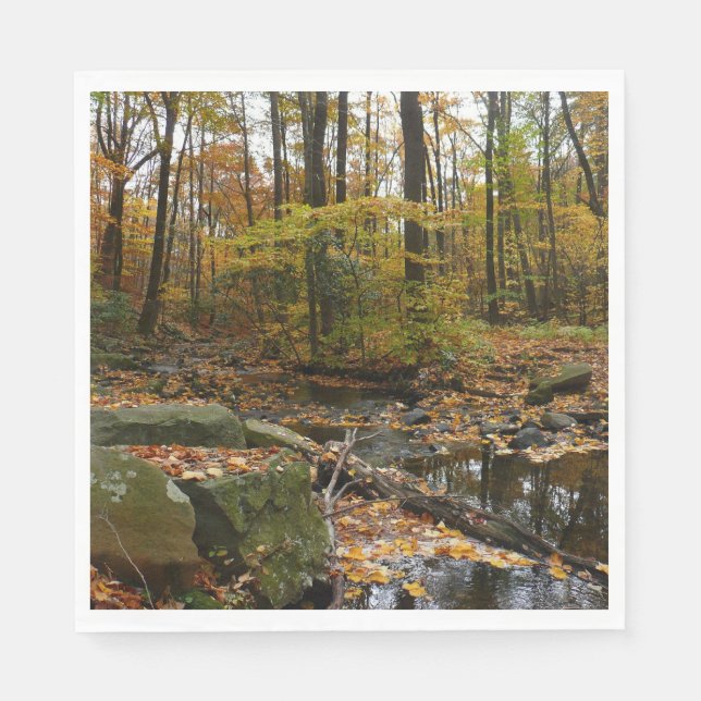 Fall Creek with Reflection at Laurel Hill Park Paper Napkins (Front)