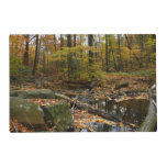 Fall Creek with Reflection at Laurel Hill Park Placemat