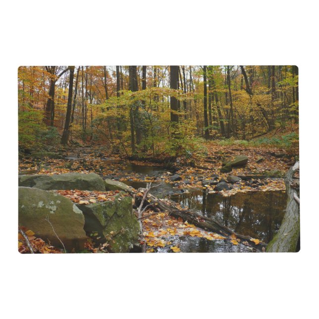 Fall Creek with Reflection at Laurel Hill Park Placemat (Front)