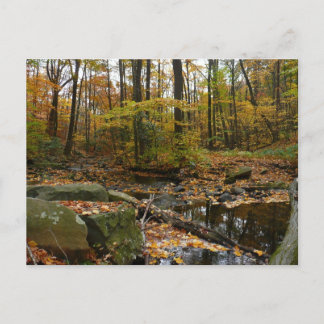 Fall Creek with Reflection at Laurel Hill Park Postcard