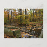 Fall Creek with Reflection at Laurel Hill Park Postcard